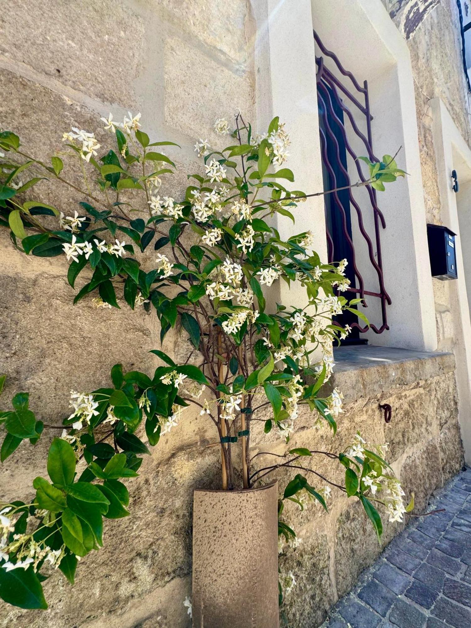 Maison De Village Renovee ! لو غراو دو روا المظهر الخارجي الصورة