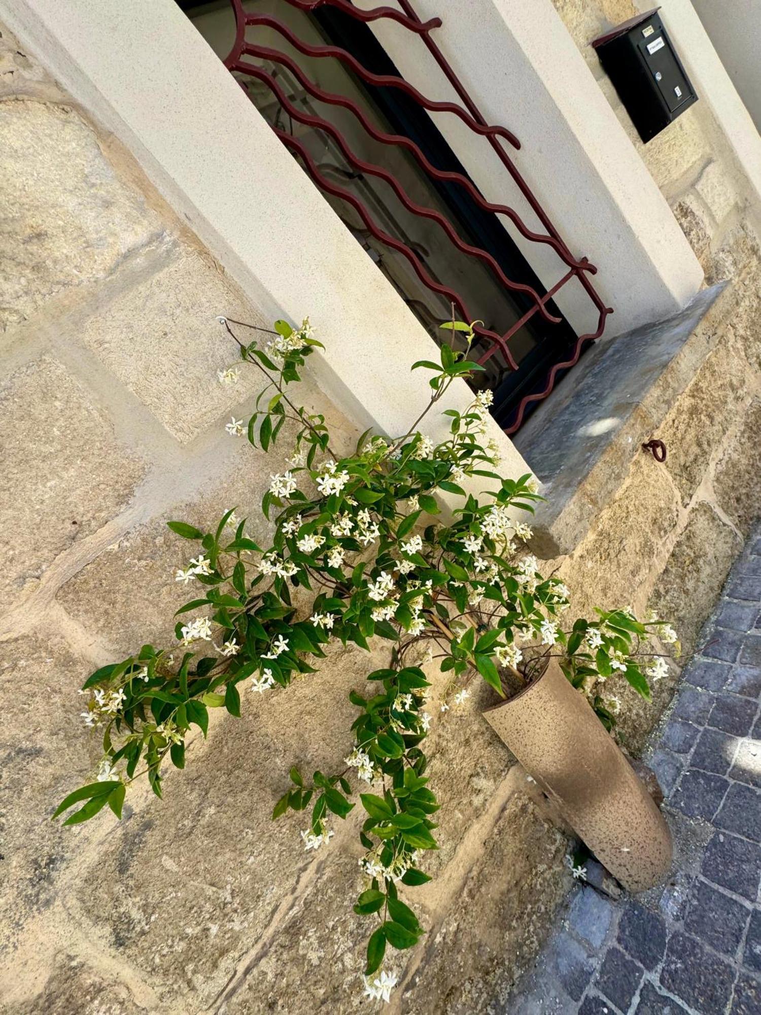 Maison De Village Renovee ! لو غراو دو روا المظهر الخارجي الصورة